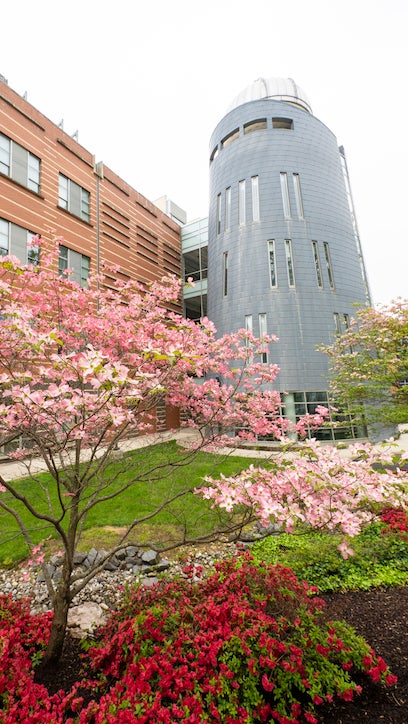 The George Mason Observatory is seen in the background, and a brick campus building is on the left. Pink flowering trees are seen in the foreground.