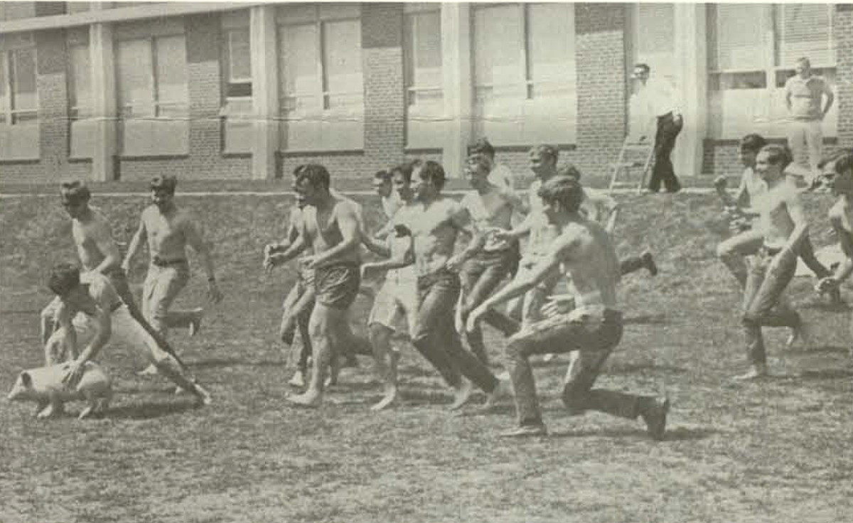 bw of students chasing a pig