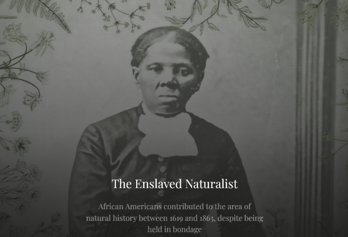 black and white photo of harriett tubman