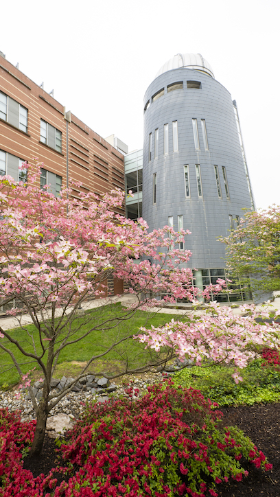 The George Mason Observatory is seen in the background, and a brick campus building is on the left. Pink flowering trees are seen in the foreground.