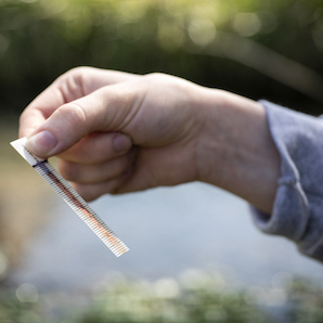 A close up of Maggie Walker's hand, as she holds a QuanTab strip to see the level of chloride in the water.