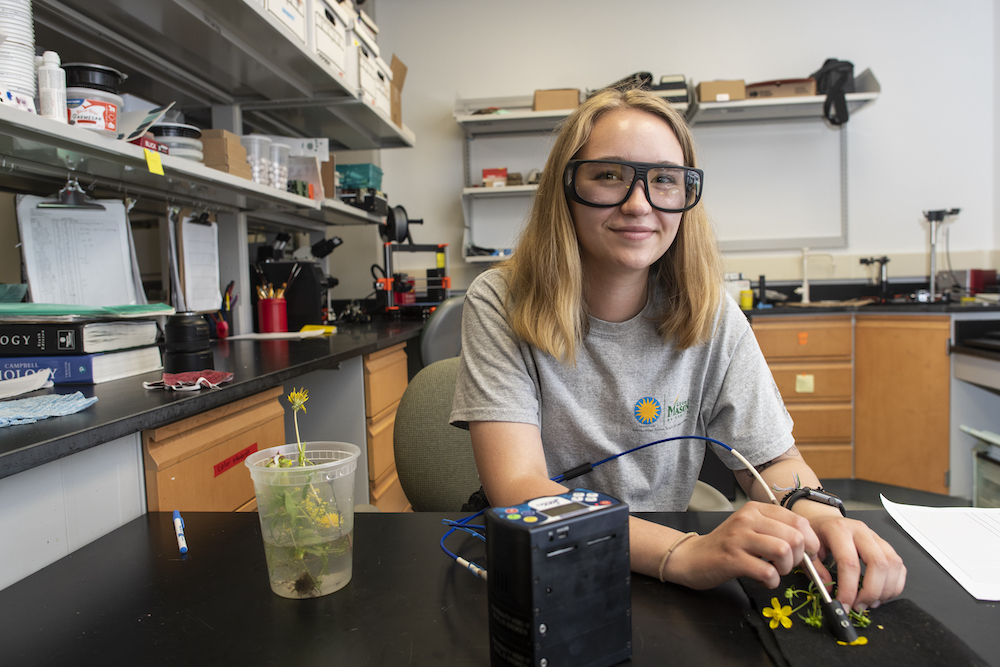 Anna Siegle sitting in a lab at George Mason University. She is wearing protective goggles and using a spectrophotometer on a yellow flower she photographed in the field.