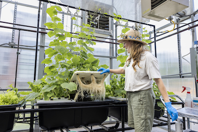 woman showing the hydroponic root system