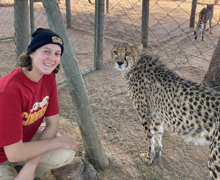 Gwen Fields crouches beside a cage housing two cheetahs.
