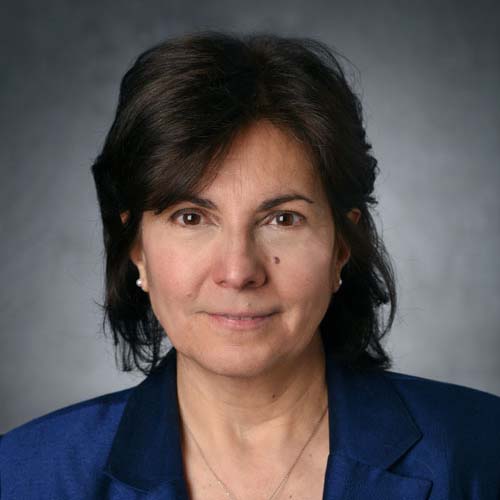 SEOR and mechanical engineering professor Janis Terpenny