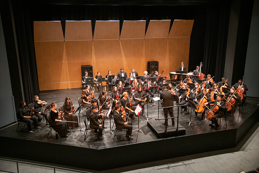 The Mason Symphony Orchestra performs on the stage of Harris Theatre during ARTS! By George 2022. (Photo by Cable Risdon Photography)