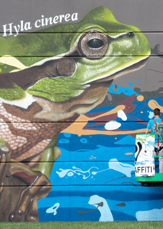 Artist TakerOne works on a mural of a frog