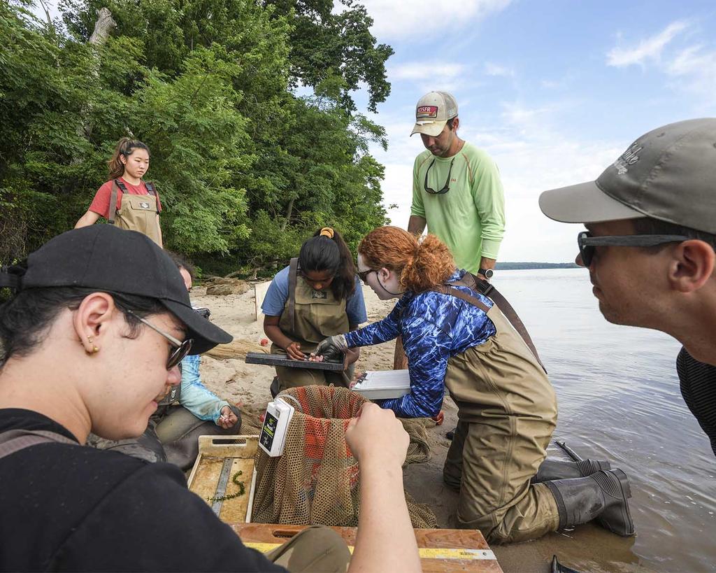 students on a river's beach collecting samples for conservation class