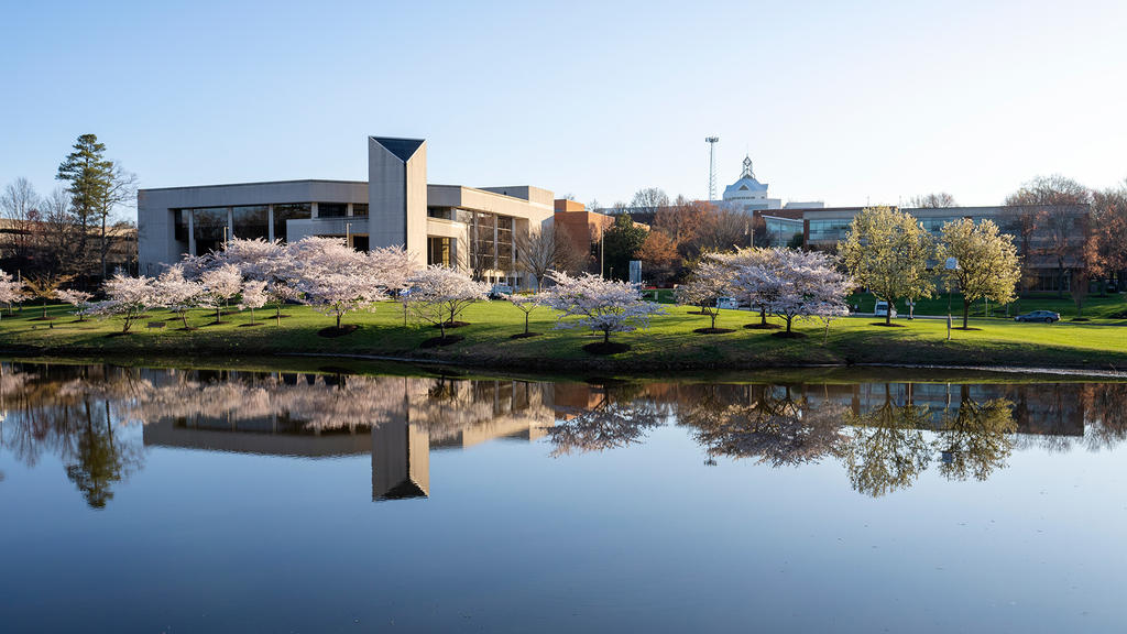 View of Mason pond on a cloudless day, making the water and sky eqully blue. The Center for the Performing Arts, Johnson Center, and other buildings are in the background. Between them and the pond are the cherry blossoms that line the pond on that side.