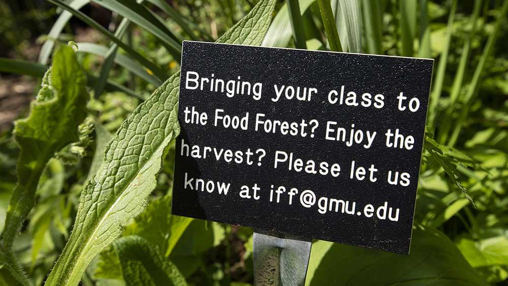 Food forest sign at Mason 