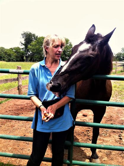 Pam Promisel stands with a brown horse in a fenced enclosure. The horse is trying to get a treat from her hand.