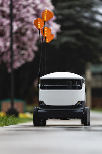 A Starship robot moves down the sidewalk towards the camera.