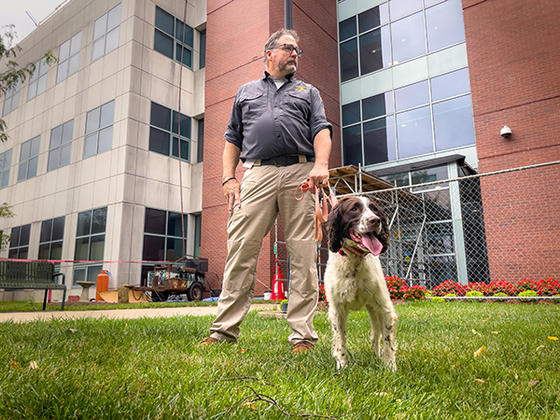 jim king of chesapeake search dogs stands with skyler the spaniel.