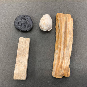 A collection of artifacts found in a pit at Gunston Hall. The items include a bottle cap with the initial of George Mason on it, pieces of wood, and a white conch shell.