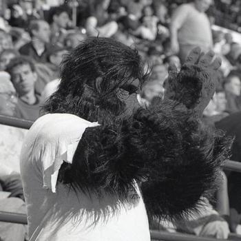 Someone in a gorilla costume cheers in the crowd at a sports event
