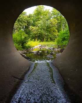 Water flows out of a drainage pipe into a larger stream on campus. The camera is positioned inside the pipe, creating a very vibrant view of the trees outside at the end of the pipe.